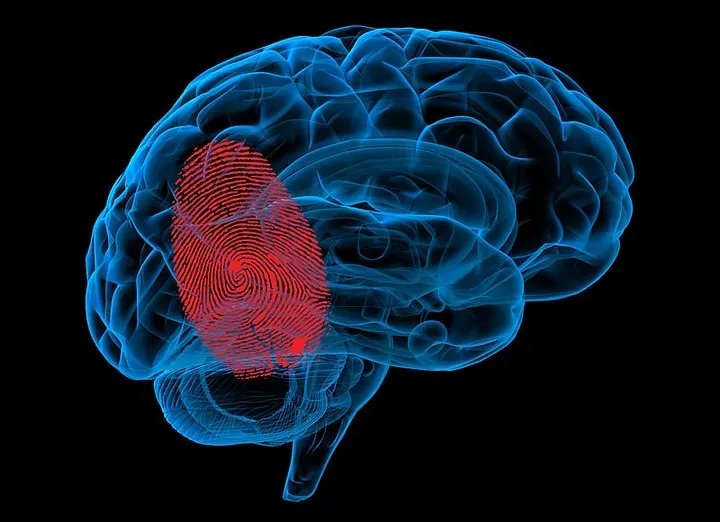 Maximize Billionaire Brain Wave effectiveness